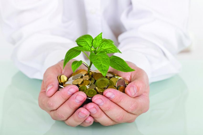 Субсидии для малого и среднего предпринимательства (Изображение с сайта newsmgn.ru)
